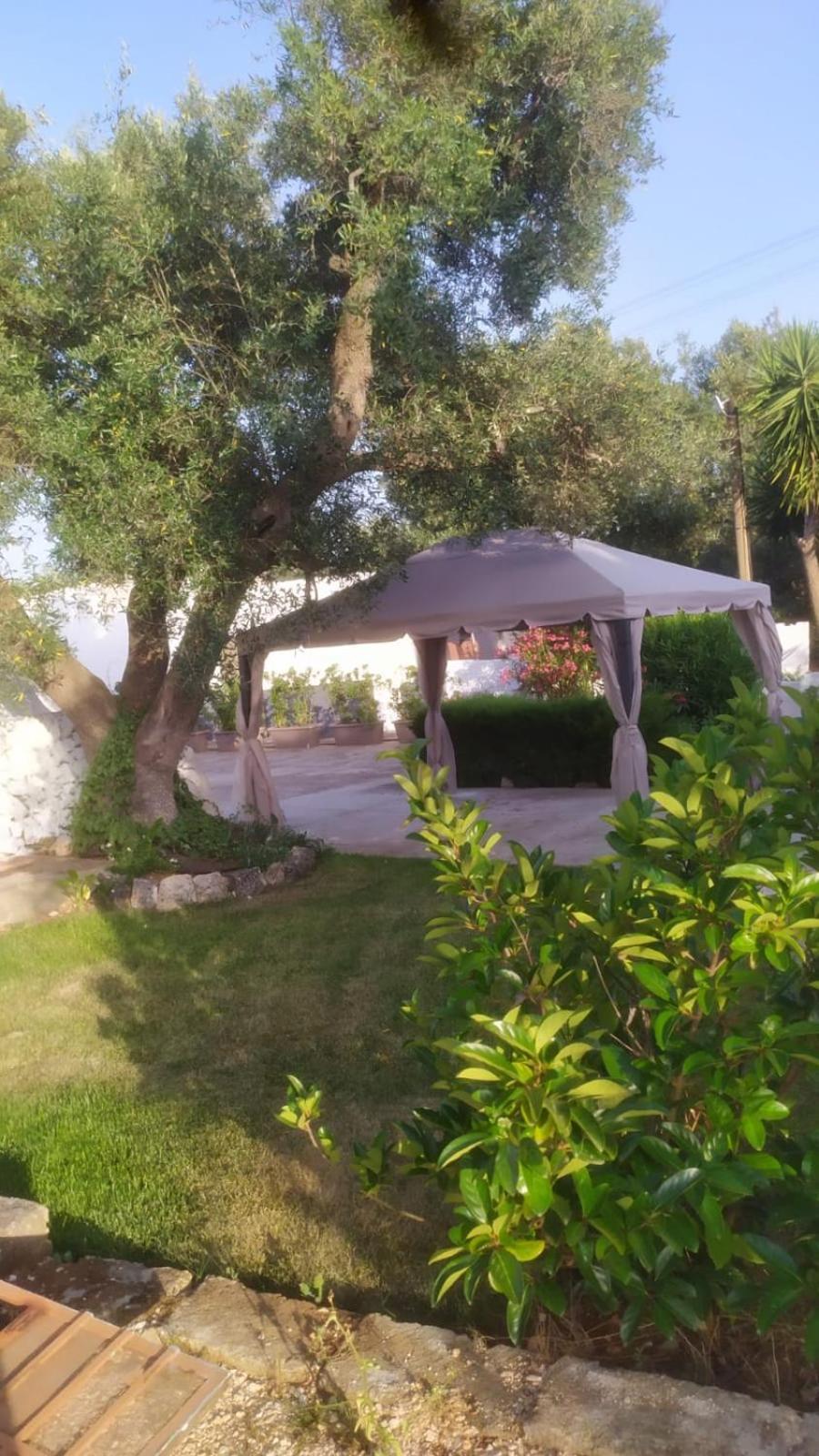 Вілла Il Trullo Di Nonno Mingo Чельє-Мессапіка Екстер'єр фото
